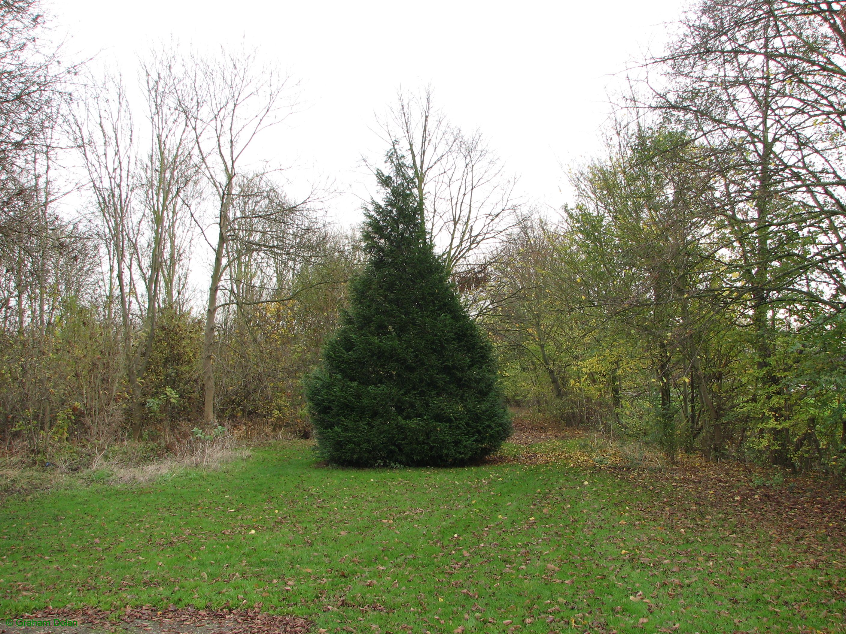 Greenwich Meridian Marker; England; Essex; Waltham Abbey